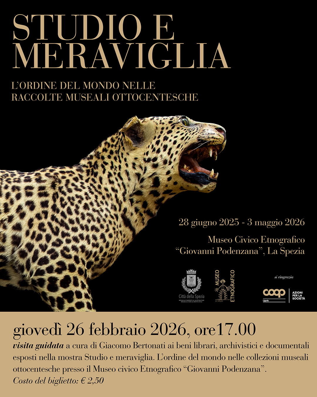 VISITA GUIDATA AI TESORI DELLA MAZZINI PRESSO IL MUSEO ETNOGRAFICO